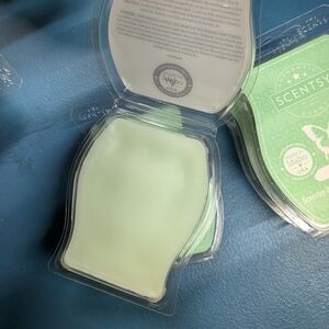 Scentsy Just Breathe Bars 4-pack